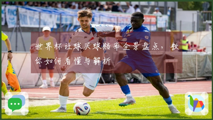 世界杯让球买球赔率全景盘点,教你如何看懂与解析