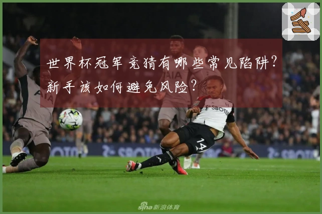 世界杯冠军竞猜有哪些常见陷阱？新手该如何避免风险？