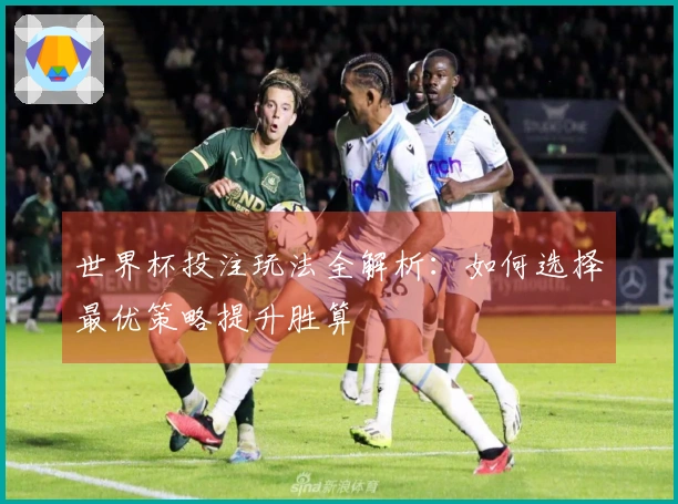 世界杯投注玩法全解析：如何选择最优策略提升胜算