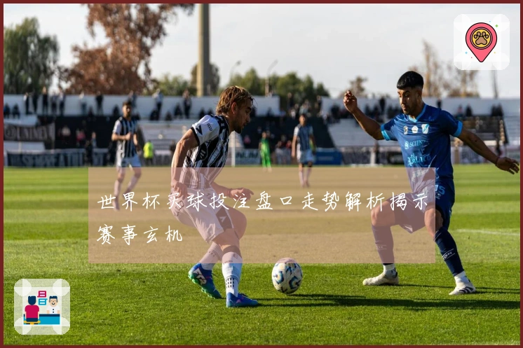 世界杯买球投注盘口走势解析揭示赛事玄机