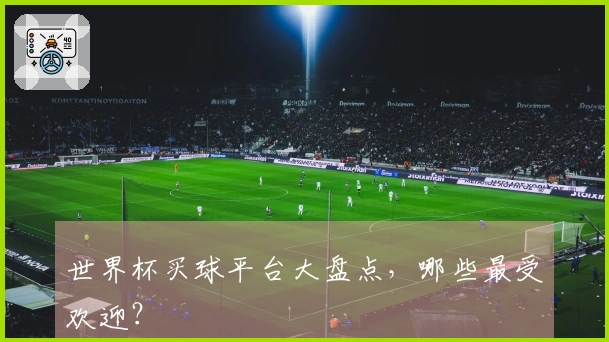 世界杯买球平台大盘点，哪些最受欢迎？