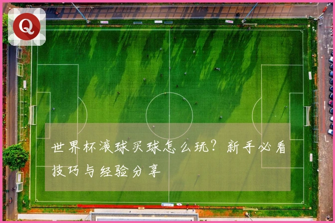 世界杯滚球买球怎么玩？新手必看技巧与经验分享
