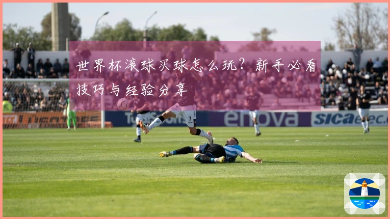 世界杯滚球买球怎么玩？新手必看技巧与经验分享