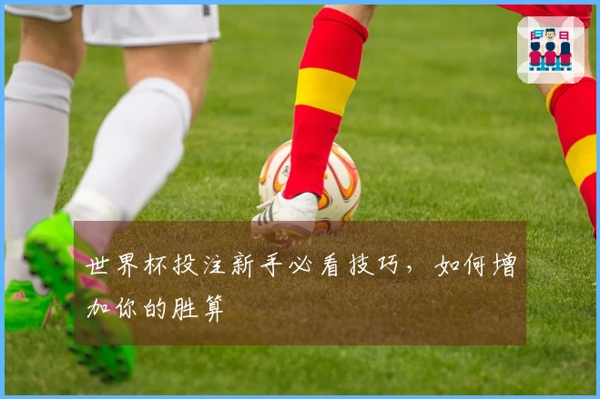 世界杯投注新手必看技巧，如何增加你的胜算