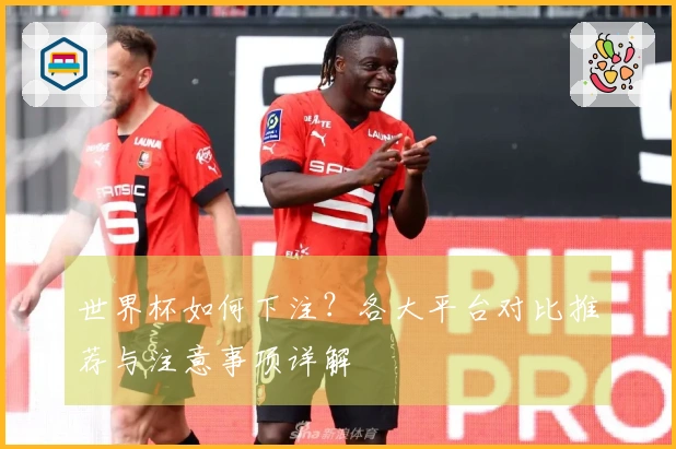 世界杯如何下注？各大平台对比推荐与注意事项详解