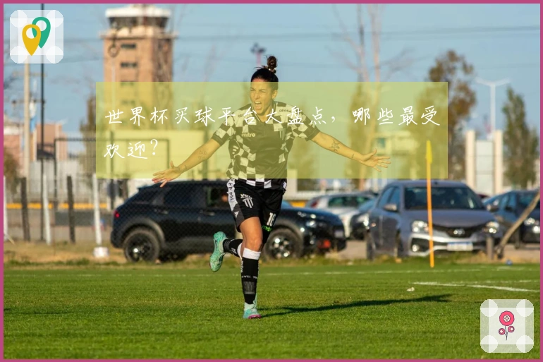 世界杯买球平台大盘点，哪些最受欢迎？