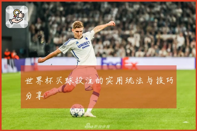 世界杯买球投注的实用玩法与技巧分享